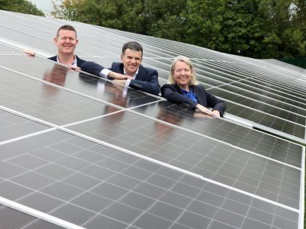 MSD opens Ireland’s largest self-supply solar project in Co Tipperary