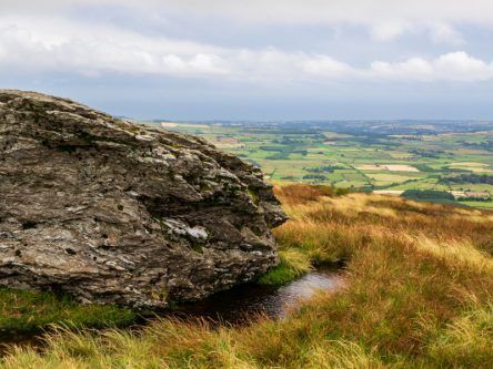 AI is a powerful ally in Ireland’s battle for biodiversity