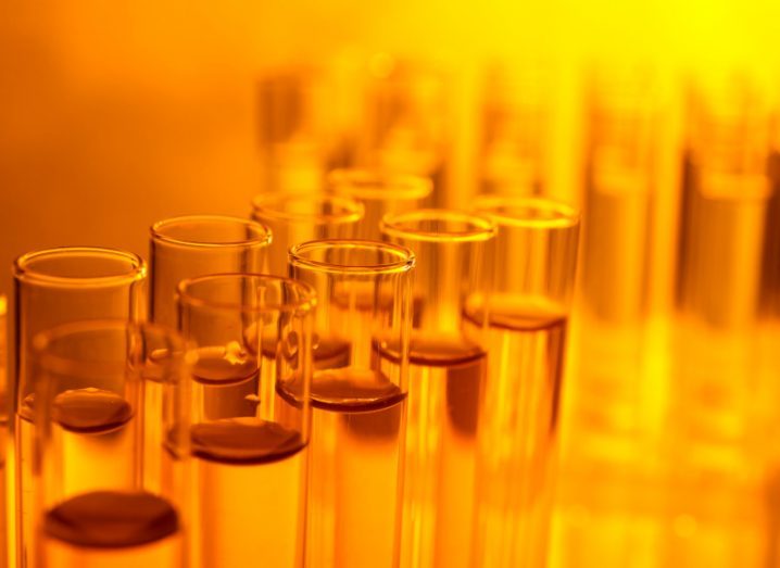 Rows of test tubes with liquid inside each of them, with an orange colour across the image.