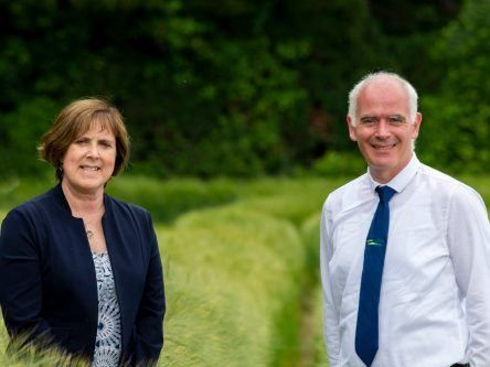 How a new analytics course aims to address Ireland’s agritech skills gap