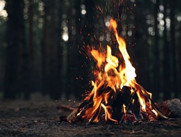 A small campfire in the middle of a forest floor.