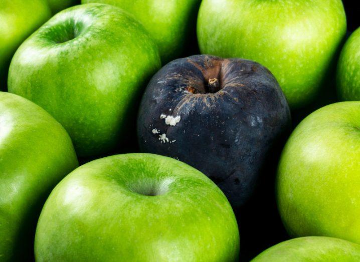 A close-up of fresh green apples with one rotten apple to symbolise a threat actor.