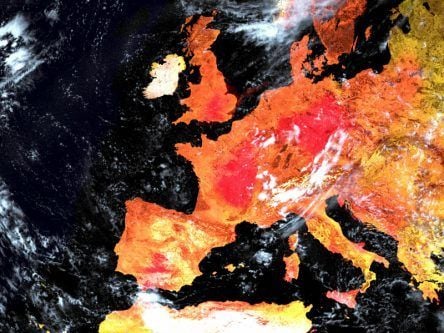 Many broken returns as January hottest on record