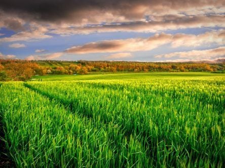 Ireland’s mid-east ranked in world top 10 start-up ecosystems for agritech