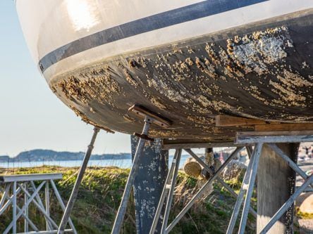 DCU to banish barnacles with brill new material