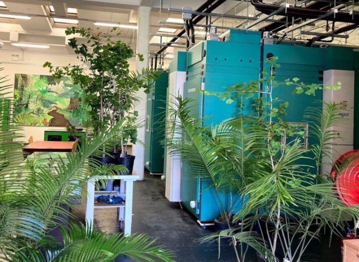 A view inside the VAL lab with lots of lush green plants, a table and chambers for experiments visible.